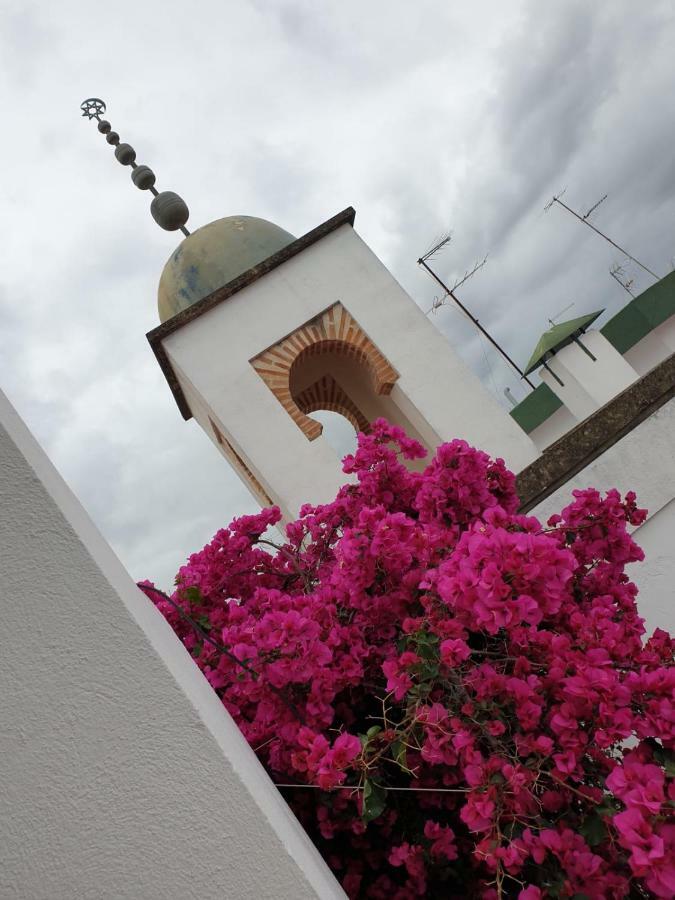 Entre 2 Mezquitas Apartamento 8 Córdoba Exteriör bild