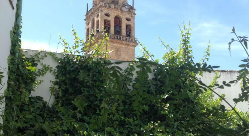 Entre 2 Mezquitas Apartamento 8 Córdoba Exteriör bild